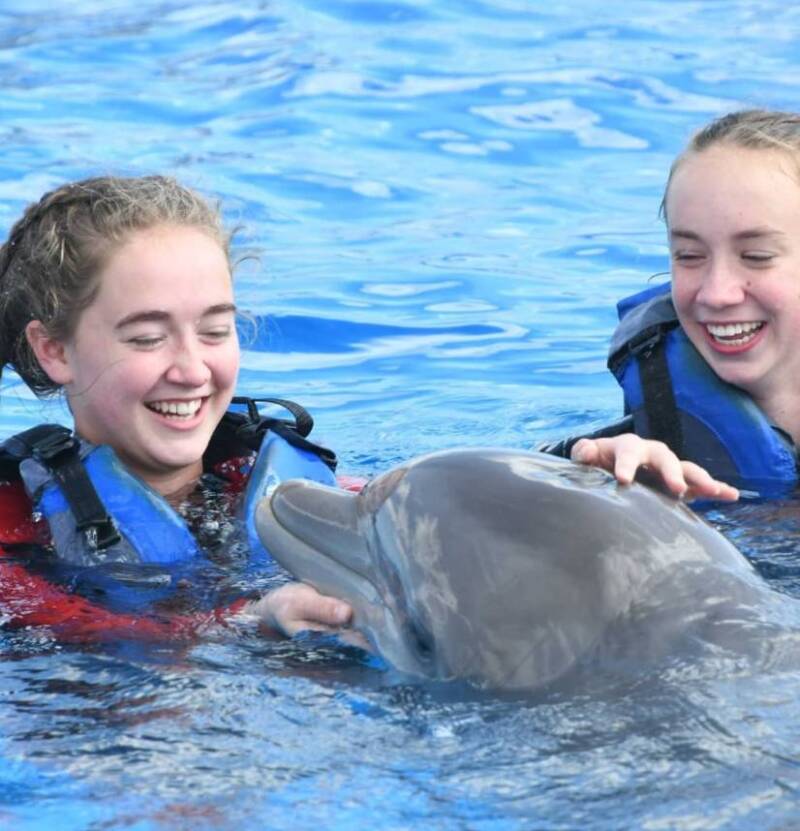 Swimming with Dolphins